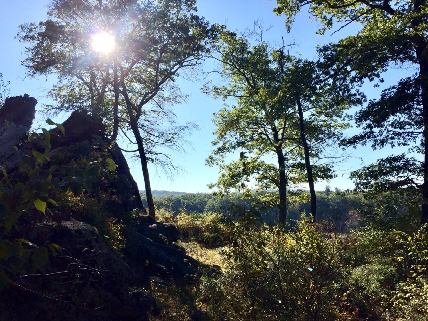 Into the Sun - Day 1