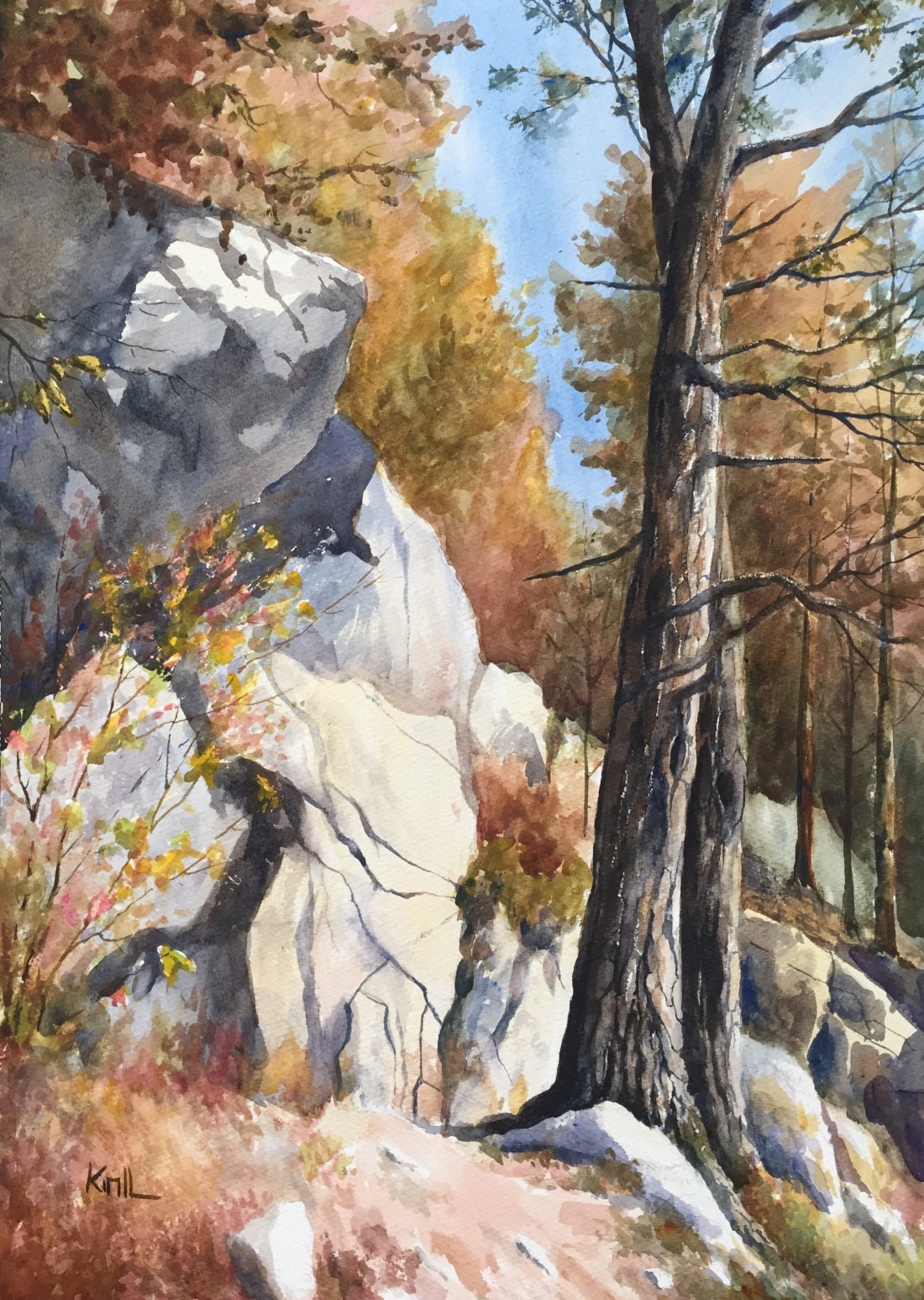 Harriman Rock and Pine